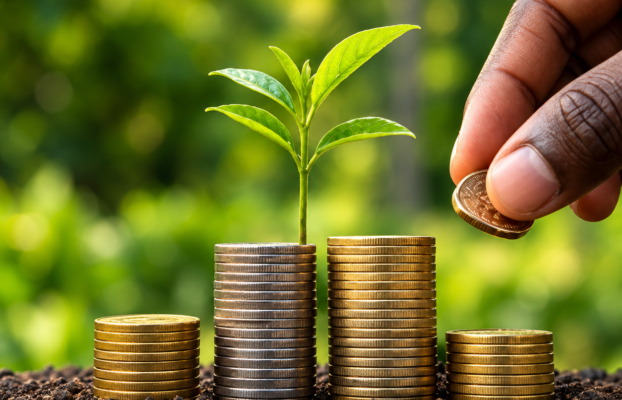 Carbon Project Finance