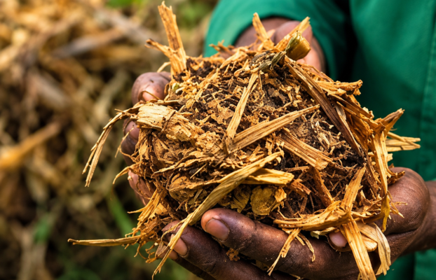 African Carbon Markets